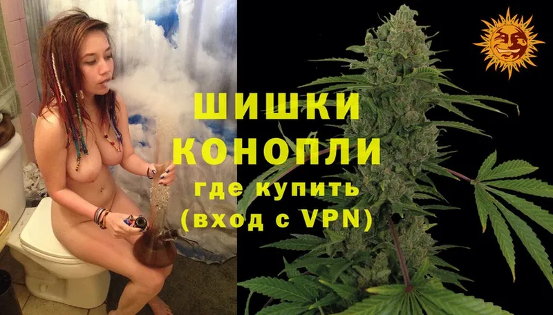 Бошки марихуана OG Kush  Шадринск 